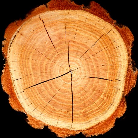 Boreal 15 ml - Afbeelding 5