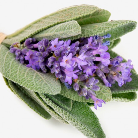 Houston 15 ml - Afbeelding 3