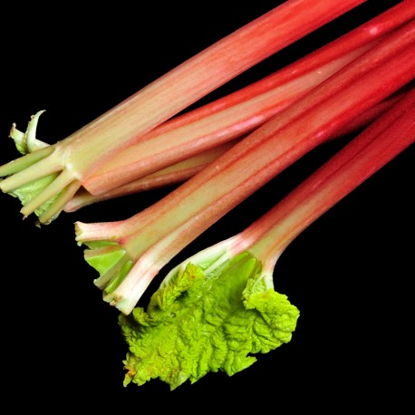 Linet 15 ml - Afbeelding 5