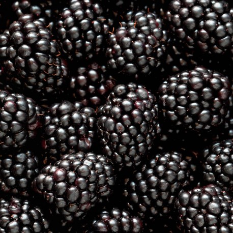 Mía 15 ml - Afbeelding 3