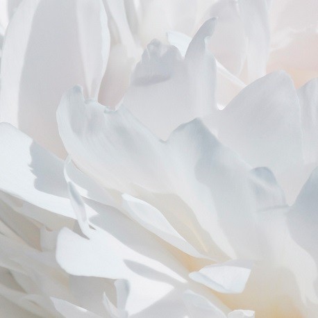 Vália 15 ml - Afbeelding 4